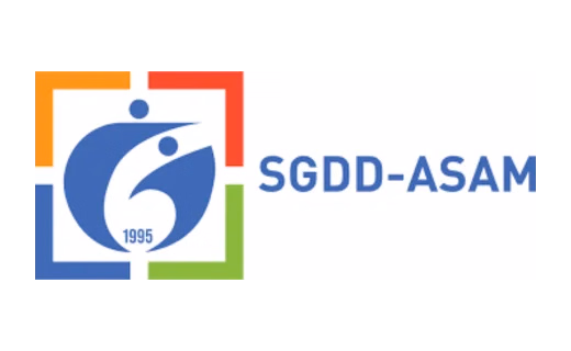 SGDD-ASAM